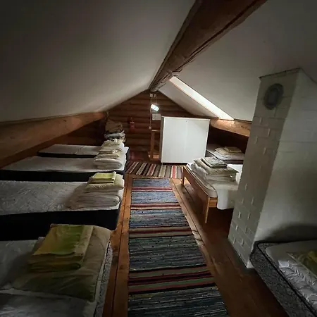 Tatil Evi Trepimaee Puhkemaja Vehendi