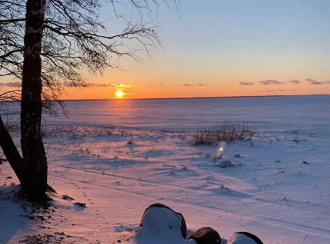 Trepimaee House * Vehendi